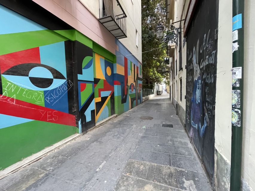 Valencia: Street Art Tour on Bicycle, E-Bike or E-Step - Private Group Option