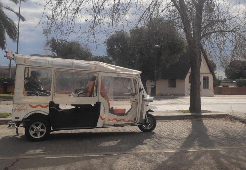 Valencia: Tuk Tuk City Tour - Tour Guide Languages