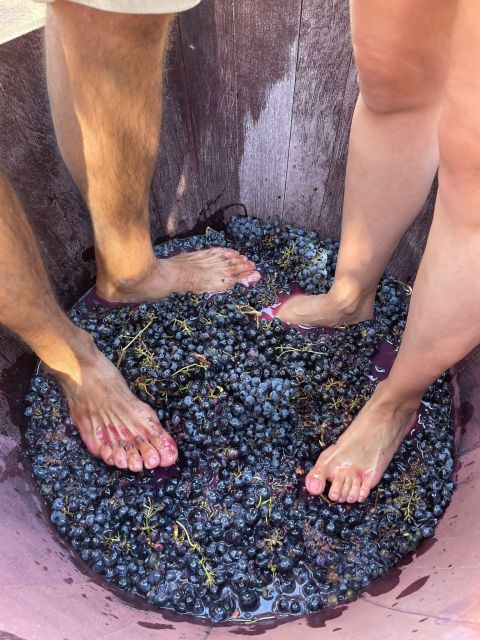 Valencia: Utiel-Requena Cave & Winery Day Trip With Tasting - Harvest and Grape Treading Experiences