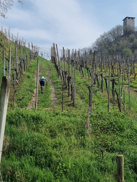 Venice : Prosecco Hills Tour With Tasting and Wine!! - Contact and Additional Resources