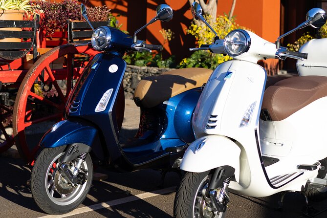 Vespa Primavera 24 Hour Rental in Madeira - Connecting With Nature and Culture