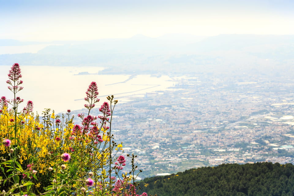 Vesuvius National Park: Skip-The-Line Ticket and Audio Guide - Visitor Recommendations