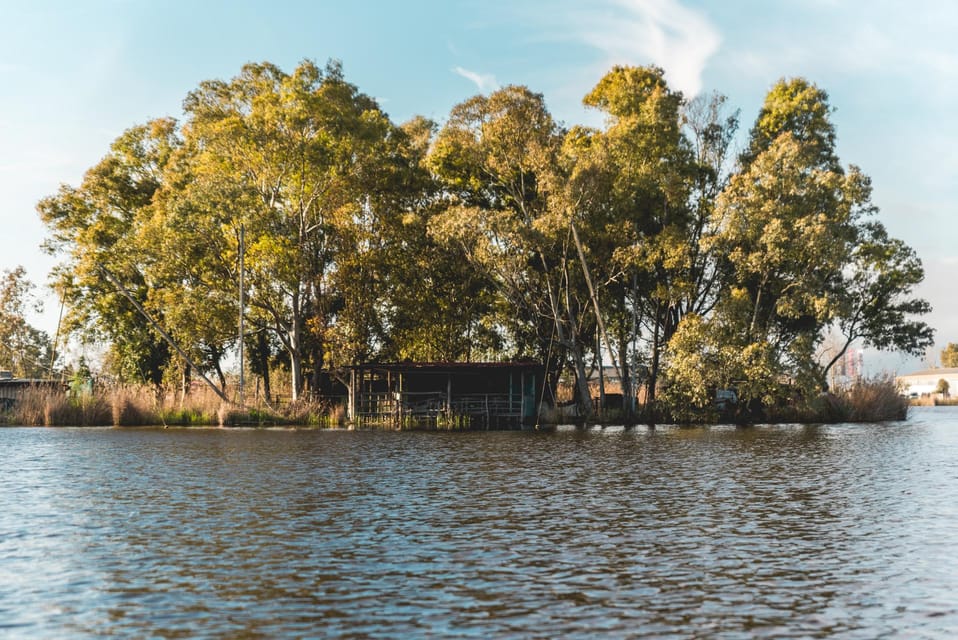 Viareggio: Marshes Electric Boat Tour With Wine Tasting - Meeting Point and Directions