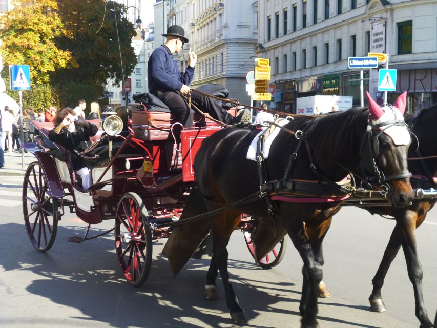 Vienna: Imperial History Guided Walking Tour - Meeting Point Information