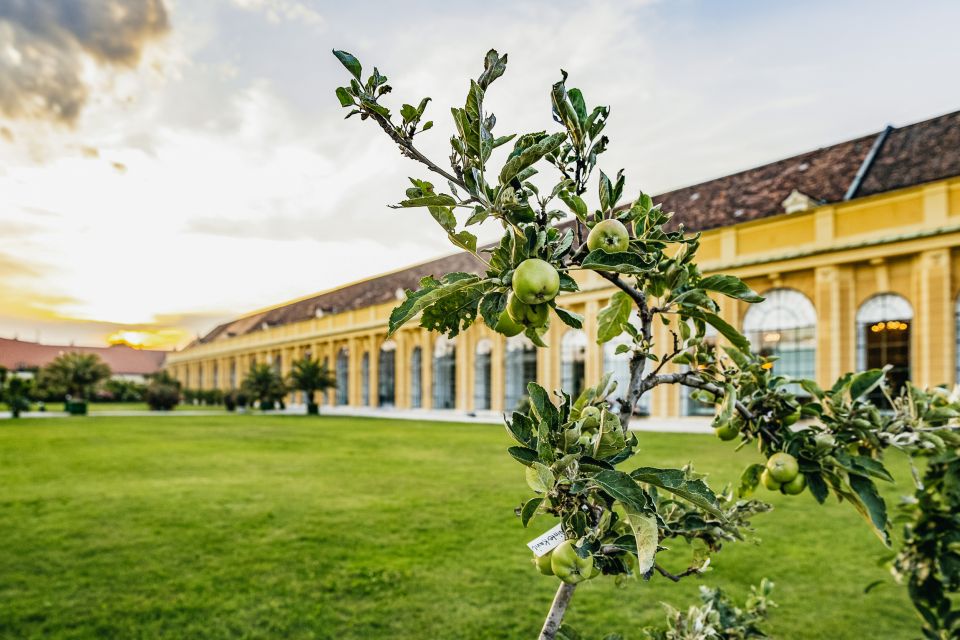 Vienna: Mozart and Strauss Concert in Schoenbrunn - Ticket Information