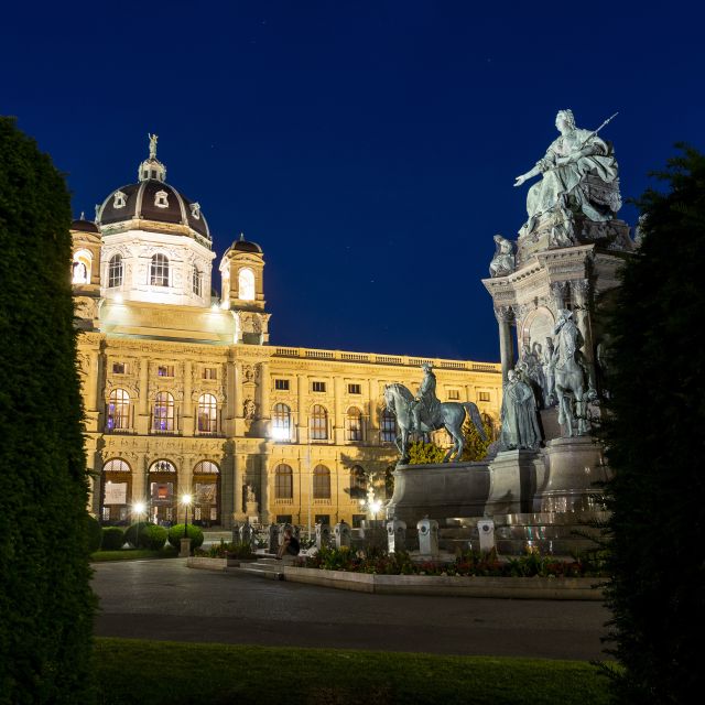 Vienna: Panoramic Night Tour by Bus - Accessibility Options