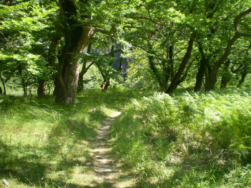 Vikos Gorge Aristi to Klidonia Bridge 3-Hour Hike - Frequently Asked Questions