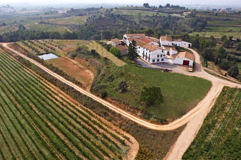 Vilafranca Del Penedès: Winery Visit With Tastings - Positive Customer Feedback