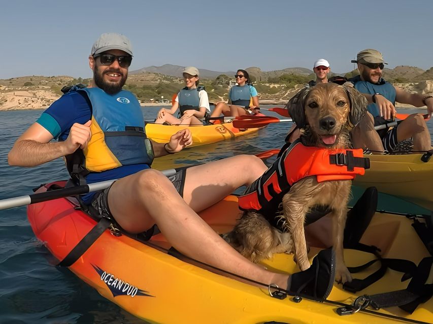 Villajoyosa: Kayaking With the Mans Best Friend, Your Dog - Safety Considerations