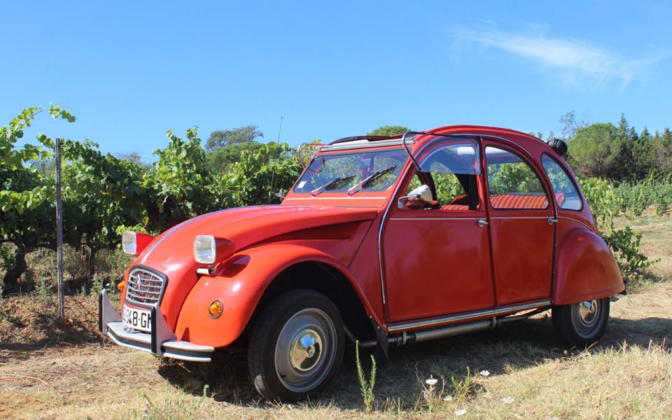 Vintage Wine Tour in Saint-Tropez - Local Guide and Language