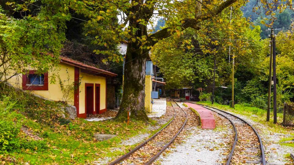 VIP Day Tour From Athens: Mt. Helmos National Park Exploring - Inclusions and What to Expect