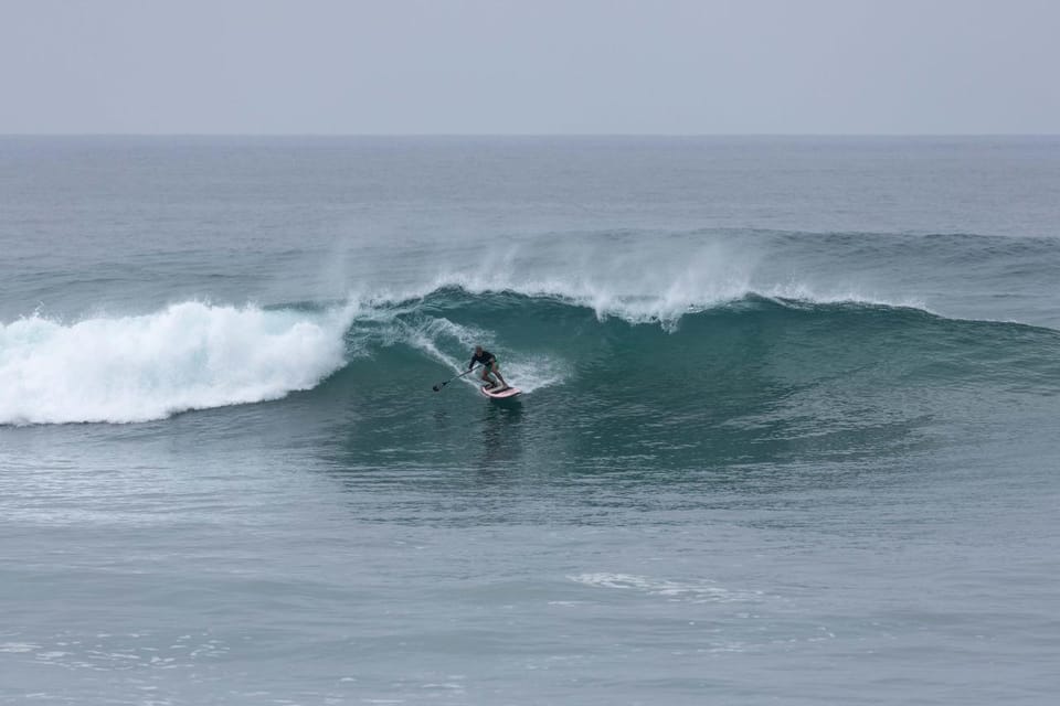 Virginia Beach: Private SUP Ocean Dolphin Adventure - Paddleboarding and Yoga on the Water