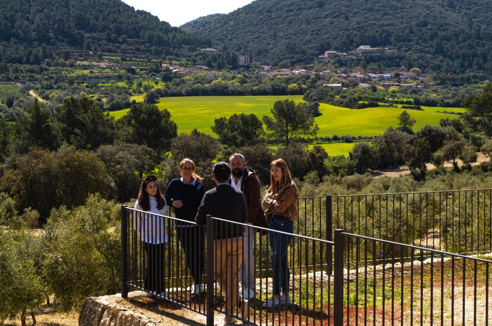 Visit of the Olive Grove, Olive Oil Tasting and Snack - Additional Information