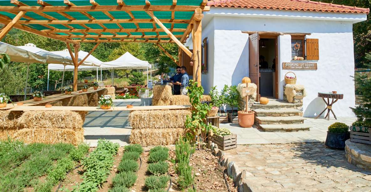 Volos: Cook Like a Local at a Greek Farm - Harvesting and Cooking Lesson