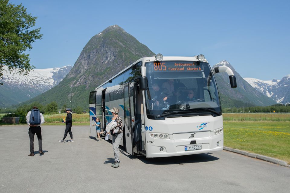 Voss: Guided Fjord & Glacier Tour to Fjærland - Accessibility Features