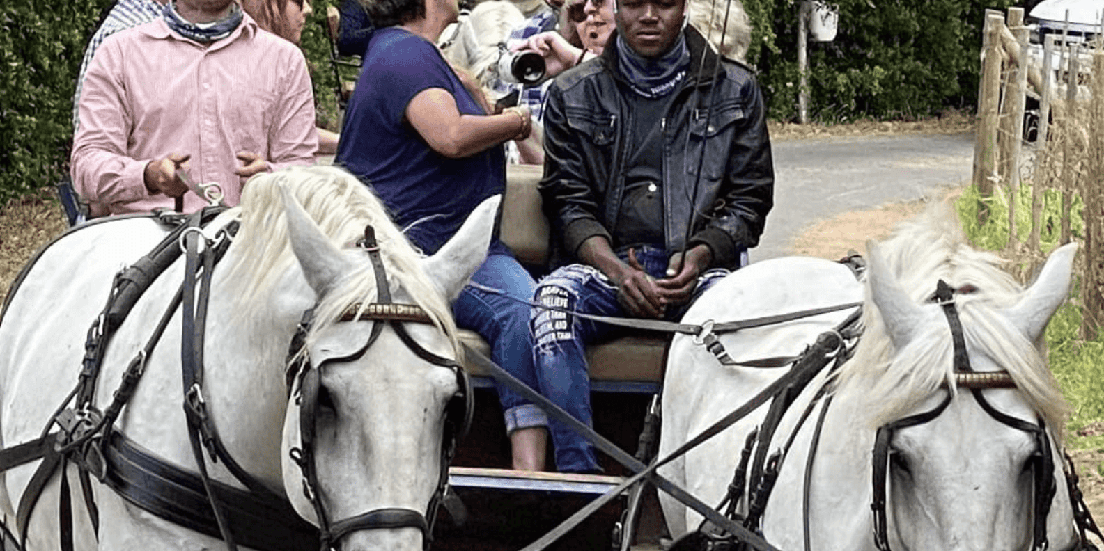 Vrede En Lust Wine Estate: 1H30M Carriage Ride & Wine Taste - Dining and Culinary Offerings