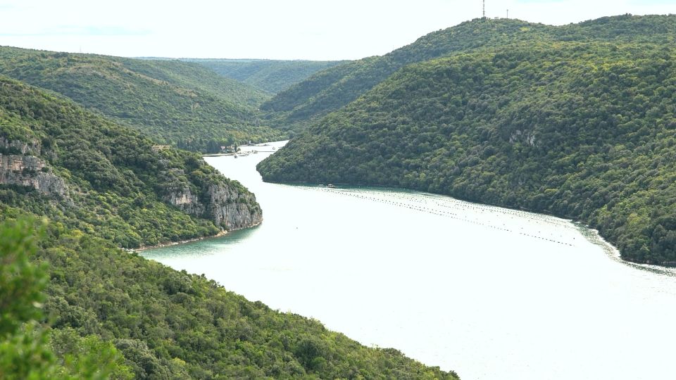 Vrsar: Lim Fjord Boat Tour With Swimming Near Pirates Cave - Tour Highlights