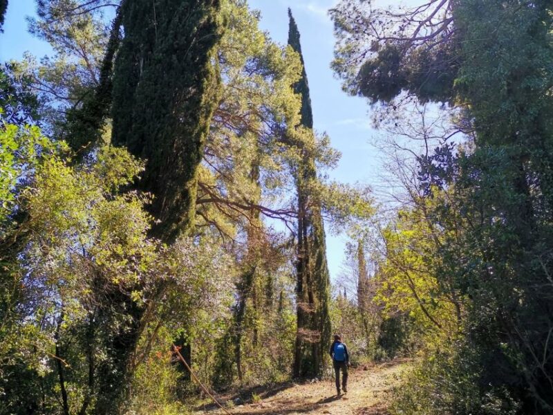 Walking Through Ancient Konavle Villages With a Tasty Finish - Local Wine and Snack Tasting