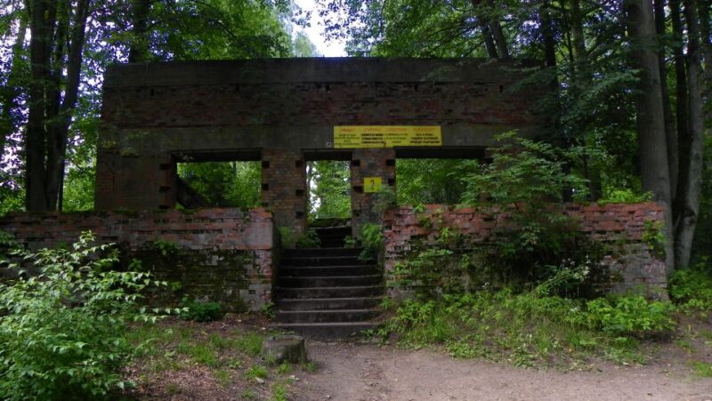 Warsaw: Private Full-Day Excursion to Wolfs Lair - Logistics and Inclusions