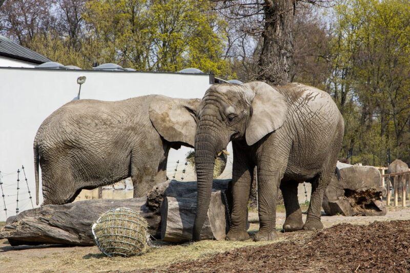 Warsaw Zoo Park With Private Transport - Customer Reviews and Feedback