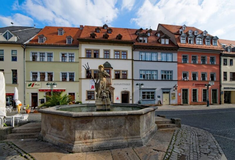 Weimar - Private Tour - Cranach House and Library