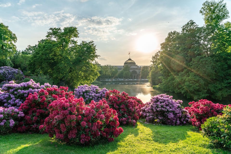 Wiesbaden: Naturally Wiesbaden - Public Tour - Experiencing Seasonal Displays