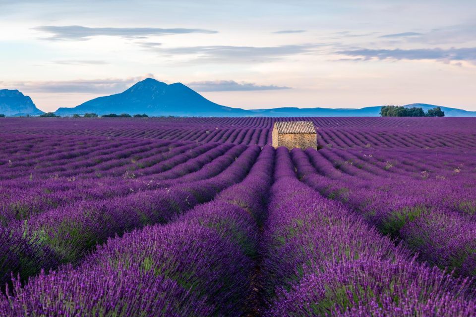 Wild Alps, Verdon Canyon, Moustiers Village, Lavender Fields - Discovering Moustiers-Sainte-Marie