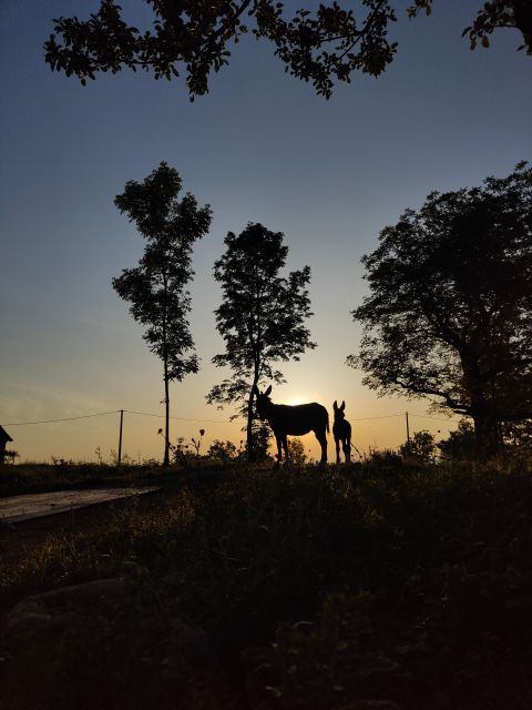 Wild Spring Ranch: Rakovica, Croatia, Horse Riding - Pickup and Accessibility