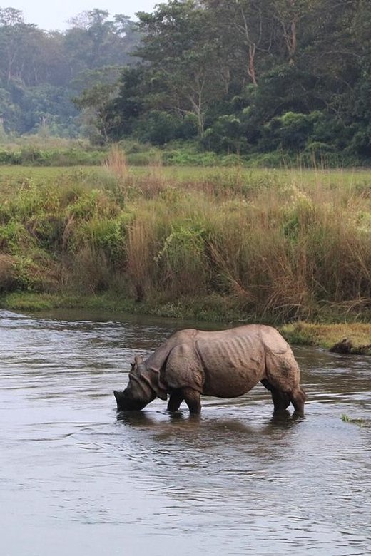 Wilderness Wonders: Private 3-Day Chitwan Safari Tour - What to Bring