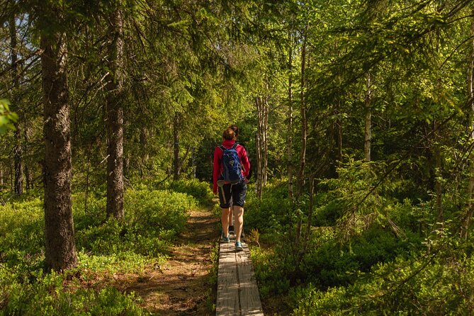 Wildlife Forest Hike - Physical Requirements