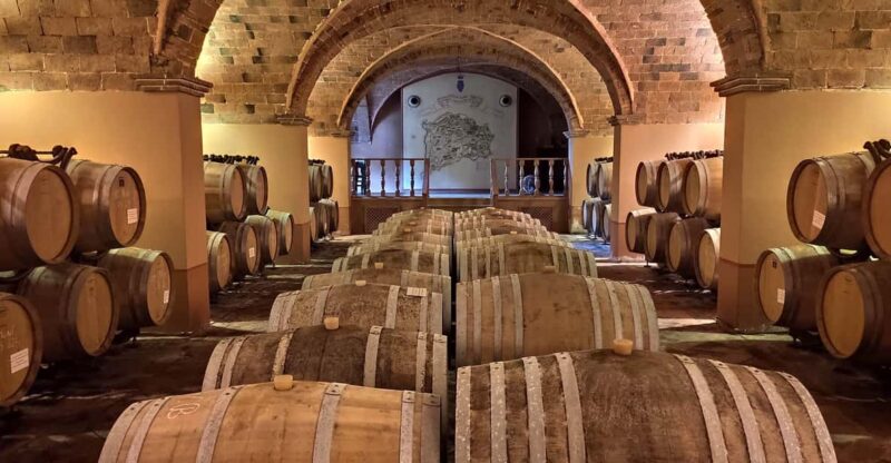 Wine Tasting in a Romantic Castle With Archaeologist Guide - Arrival and Logistics