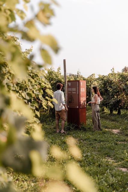 Wine Tasting: the Flavors of the "Prosecco Hills" - Venue and Public Transport