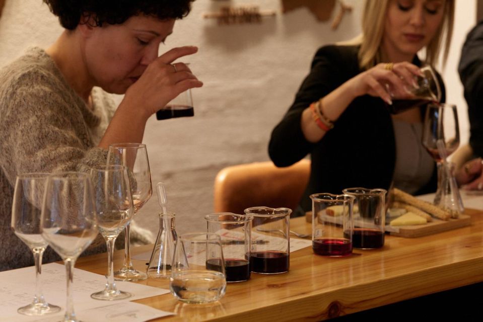 Wine Workshop-Create You Own Wine in Athens City Center - Artisanal Cheese and Olives