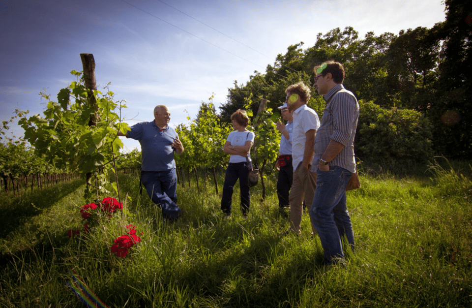 Winery Tour & Tasting on Padova Hills - Accessibility