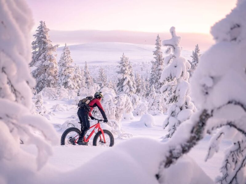Winter Electric Fat Bike Experience - Exploring the Snowy Forests