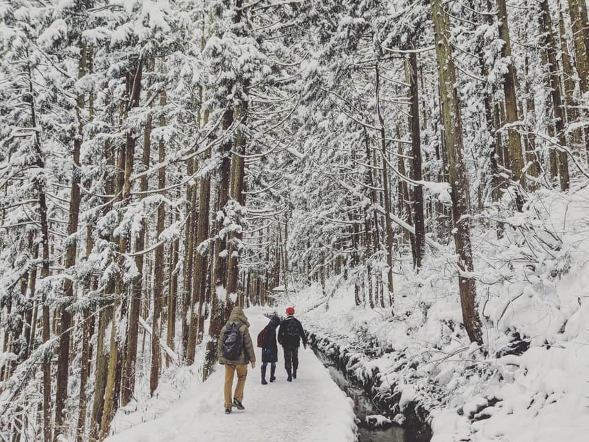 Winter Only From Nozawa Onsen: Snow Monkeys, Zenko-ji & Sake - Meeting Points and Transportation