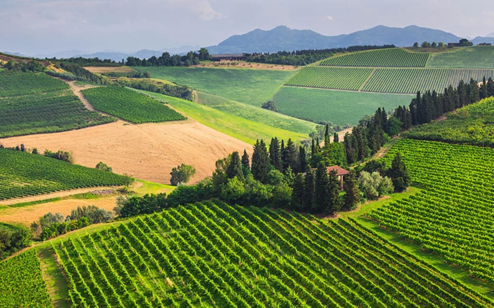 Wonderful Tuscan Wine Tour: Siena, Chianti and San Gimignano - Accessibility Features