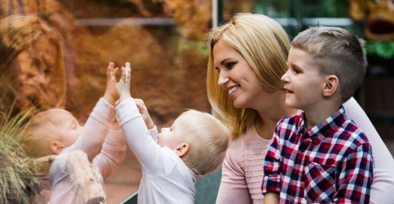 Wroclaw: Zoo With Private Transport and Tickets - Animal Exhibits to Explore