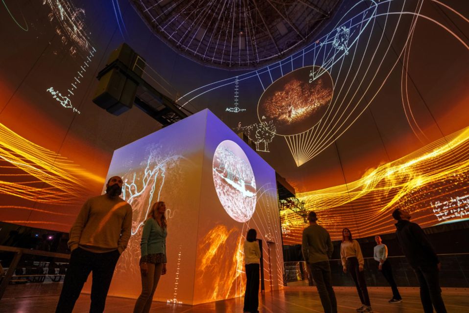 Wuppertal: Visiodrom Immersive Da Vinci Exhibition Entry - Accessibility Features