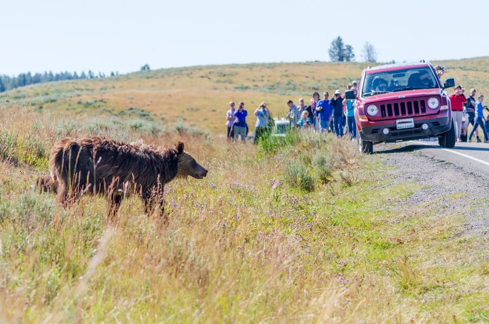 Yellowstone Old Faithful and Waterfall Tour - What to Expect