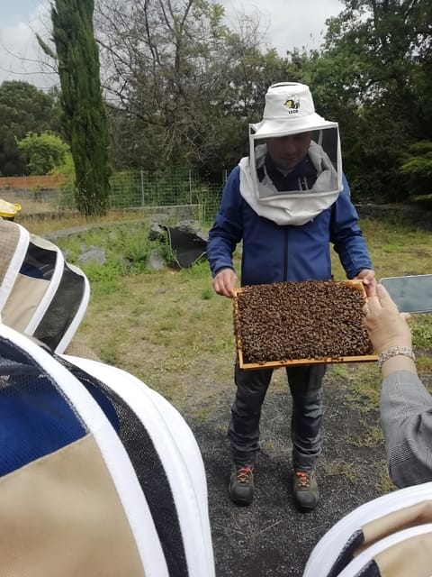 Zafferana Etnea: Honey Extraction Workshop and Honey Tasting - Health and Safety Guidelines