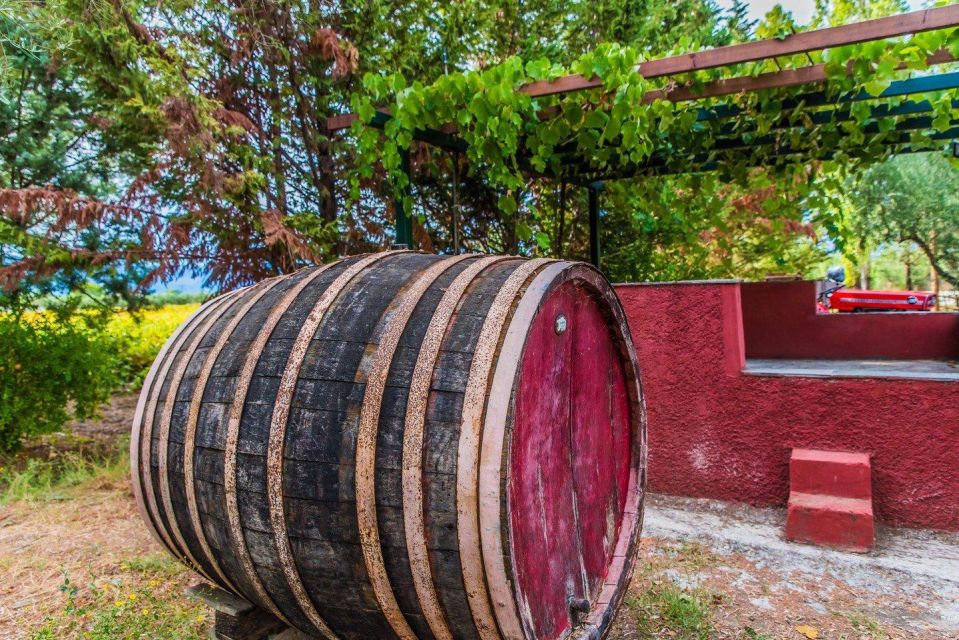 Zakynthos: Private Tour With Wine & Olive Oil Tasting - Inclusions and Exclusions