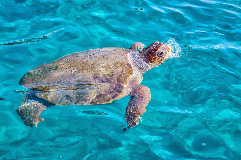 Zakynthos: Small Boat Trip to Keri, Mizithres & Marathonisi - Booking Policies