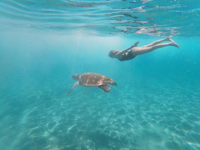 Zakynthos: Turtle Island Cruise With Swimming Stop - Preparation and Recommendations