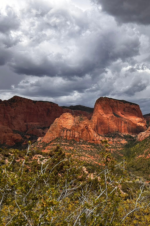 Zion National Park 5-hour Tour: Hike and Drive - Expert Guidance Details