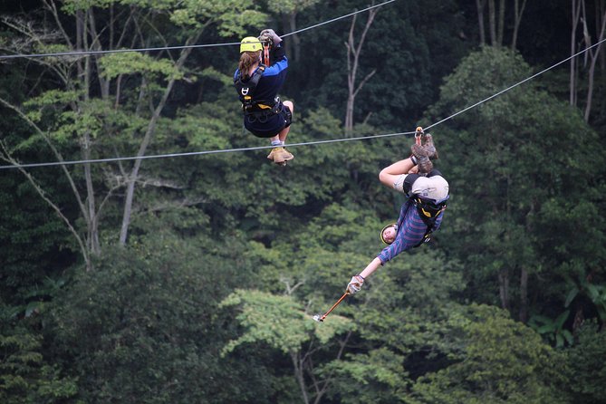 Zip Line Adventure in Machupicchu - Customer Feedback and Experiences