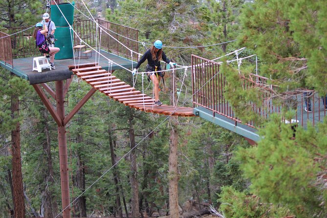 Zipline Tour - 9 High-Speed Ziplines & Fun Suspension Bridge - What to Expect on Your Tour