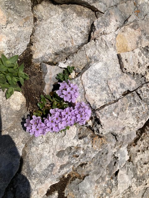 Zugspitze: Hiking Down via Gatterl to Ehrwald - Preparation and Requirements