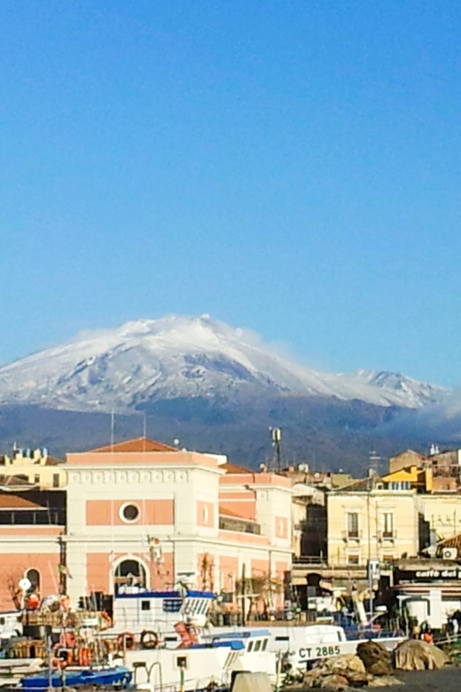 6-Hour Mount Etna Excursion - Itinerary and Activities