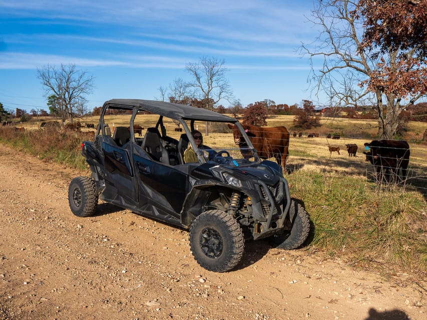 1.5 Hour Guided UTV Tour (2 Seater Vehicle) - Driving Regulations